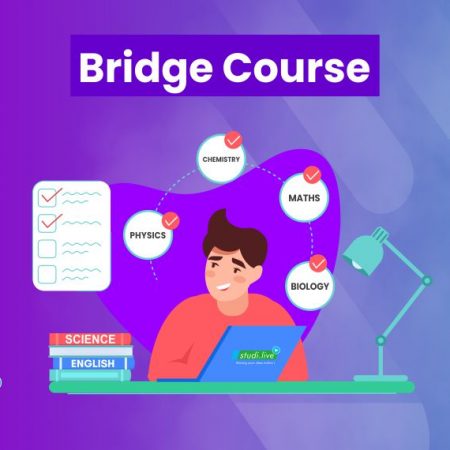 Bridge Course
