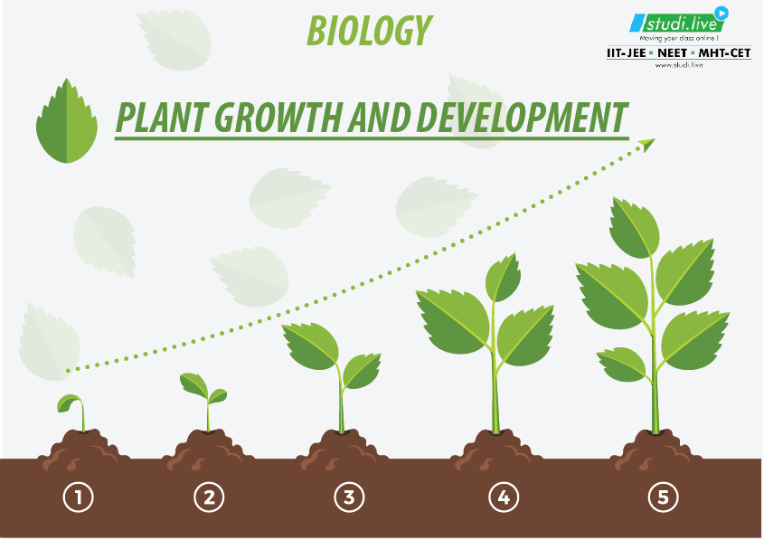 PLANT GROWTH AND DEVELOPMENT